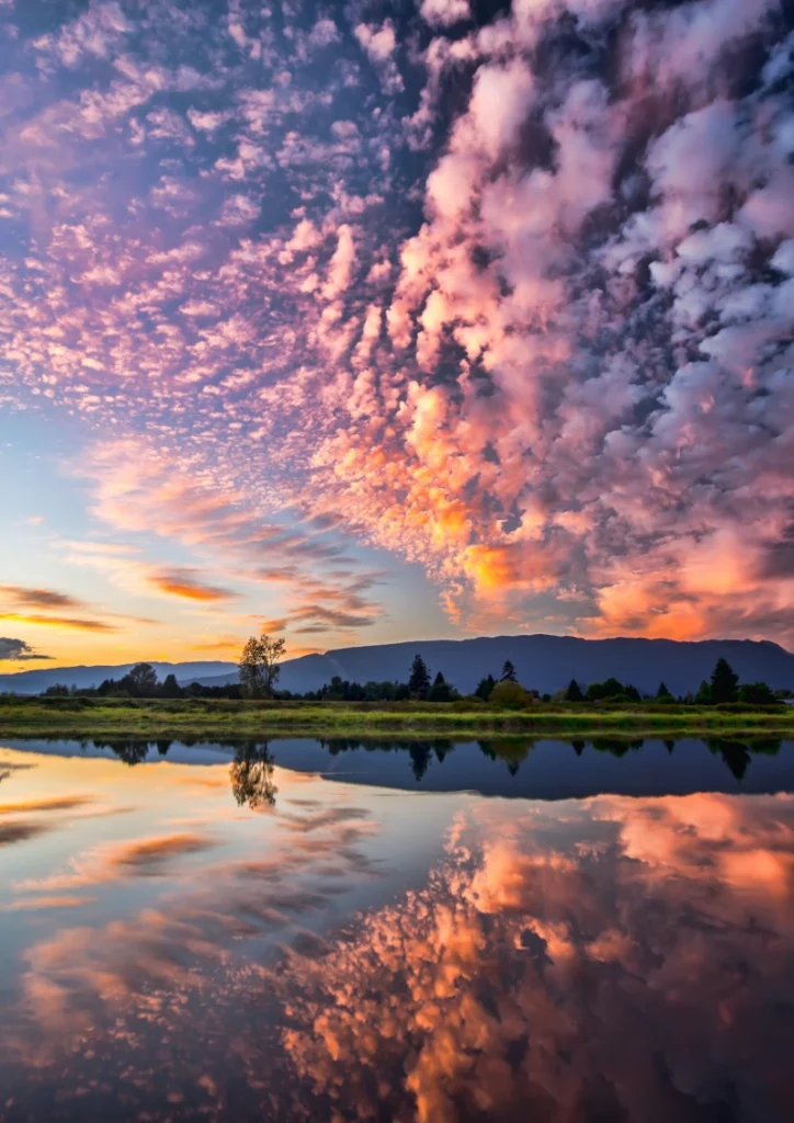 ToF Behang landschap met roze lucht