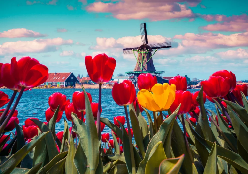 ToF Fotobehang landschap Nederlands uitzicht