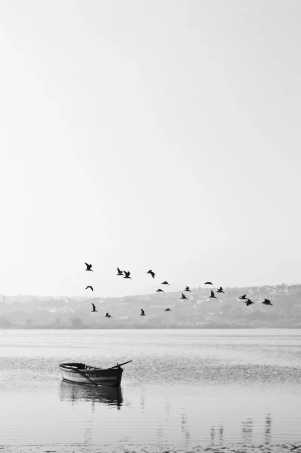 ToF Fotobehang vogels vliegend boven meer met boot in zwart-wit