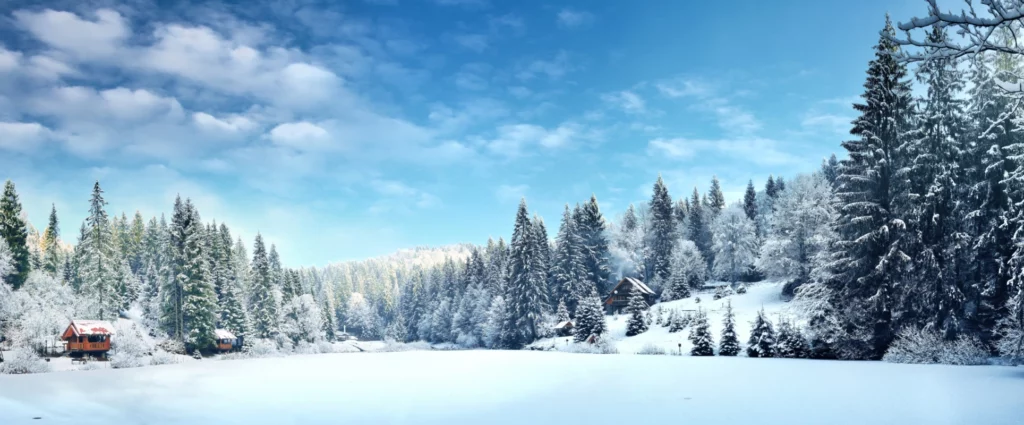 ToF Behang winter dennenbomen vol sneeuw