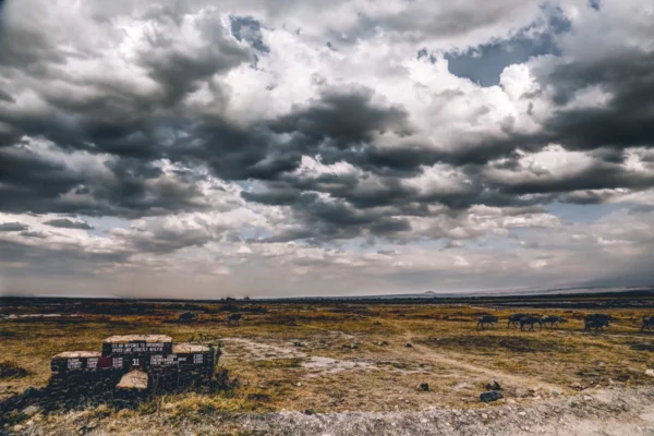 ToF Behang landschap droog met donkere wolken