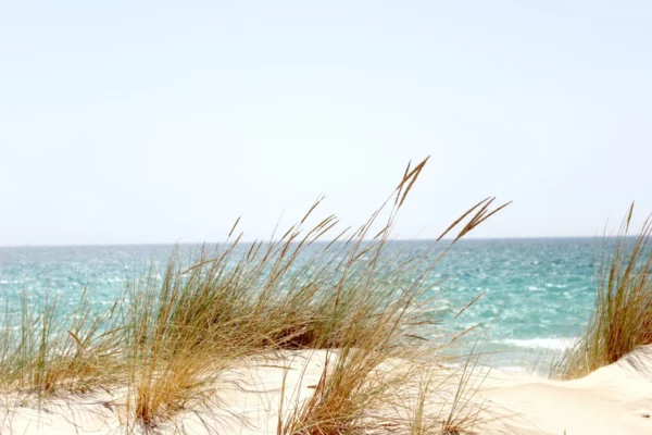 ToF Fotobehang duinen met zee water