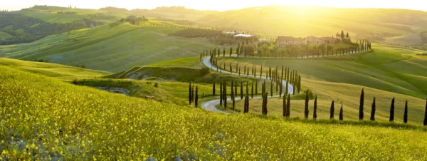 ToF Behang landschap Italië met weg