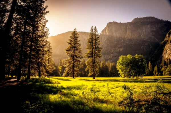 ToF Fotobehang landschap met lichtinval