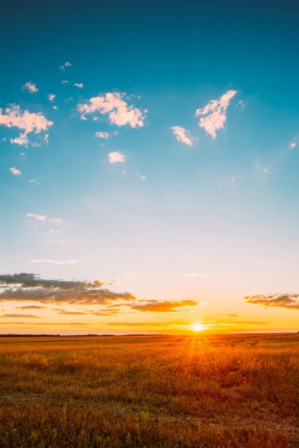 ToF Fotobehang zonsondergang