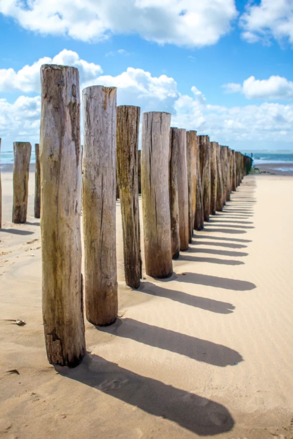 ToF Fotobehang strandpalen op een rij