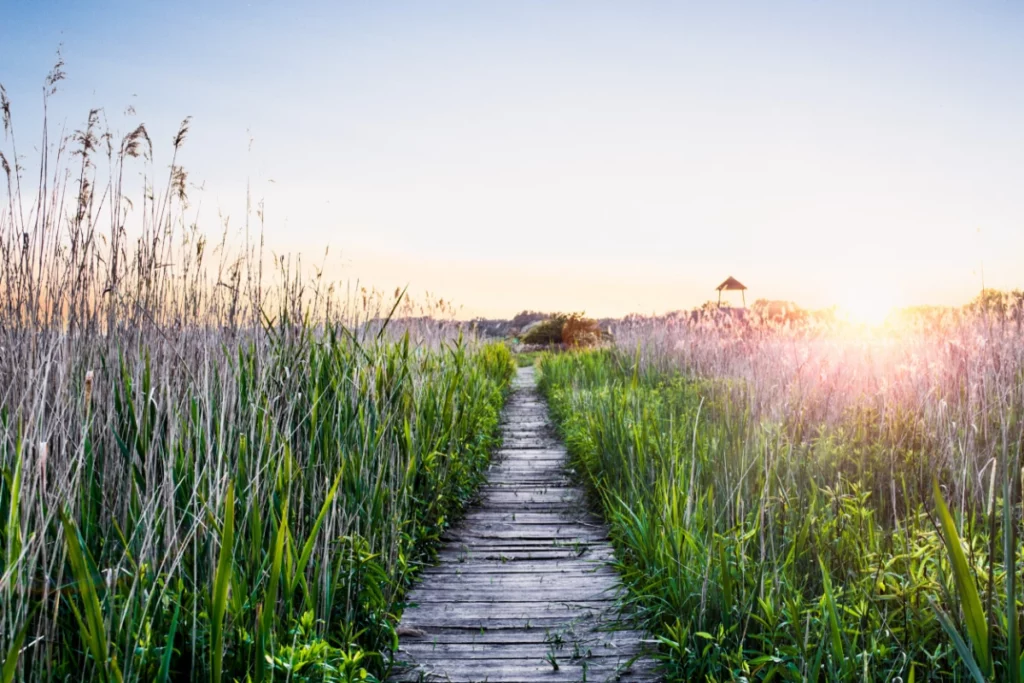 ToF Fotobehang ondergaande zon met landschap