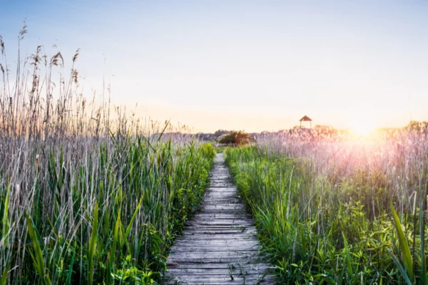 ToF Fotobehang ondergaande zon met landschap