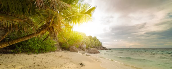 ToF Fotobehang rotsen op het strand