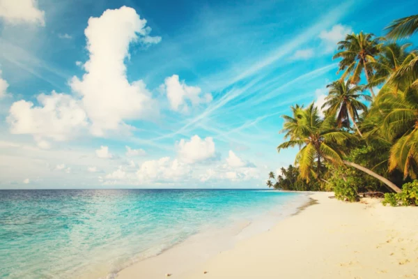 ToF Fotobehang strand met palmbomen