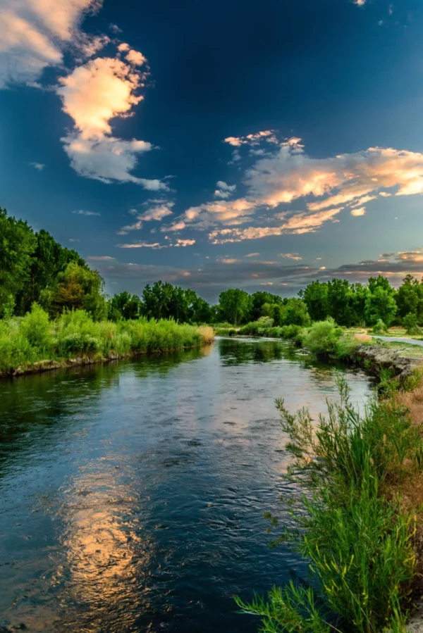 ToF Behang landschap met rivier