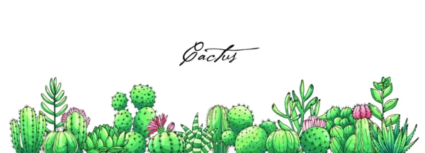 ToF Behang bloemen poster met getekende gekleurde letters, cactussen en vetplanten