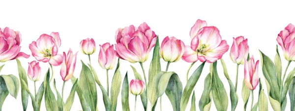 ToF Behang tulpen op een rij