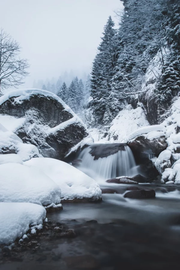 ToF Fotobehang zwart-wit besneeuwd bos met waterval